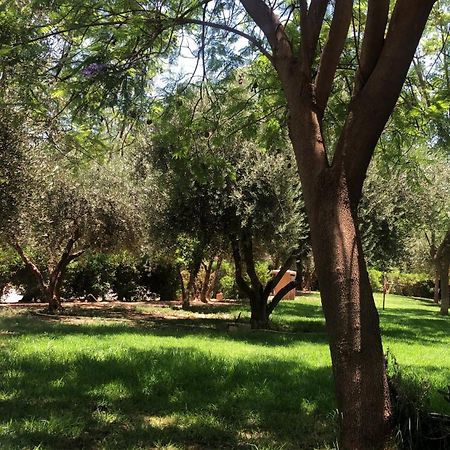 Palmeraie Village 2 - Cosi Appartement En Rez De Jardin マラケシュ エクステリア 写真