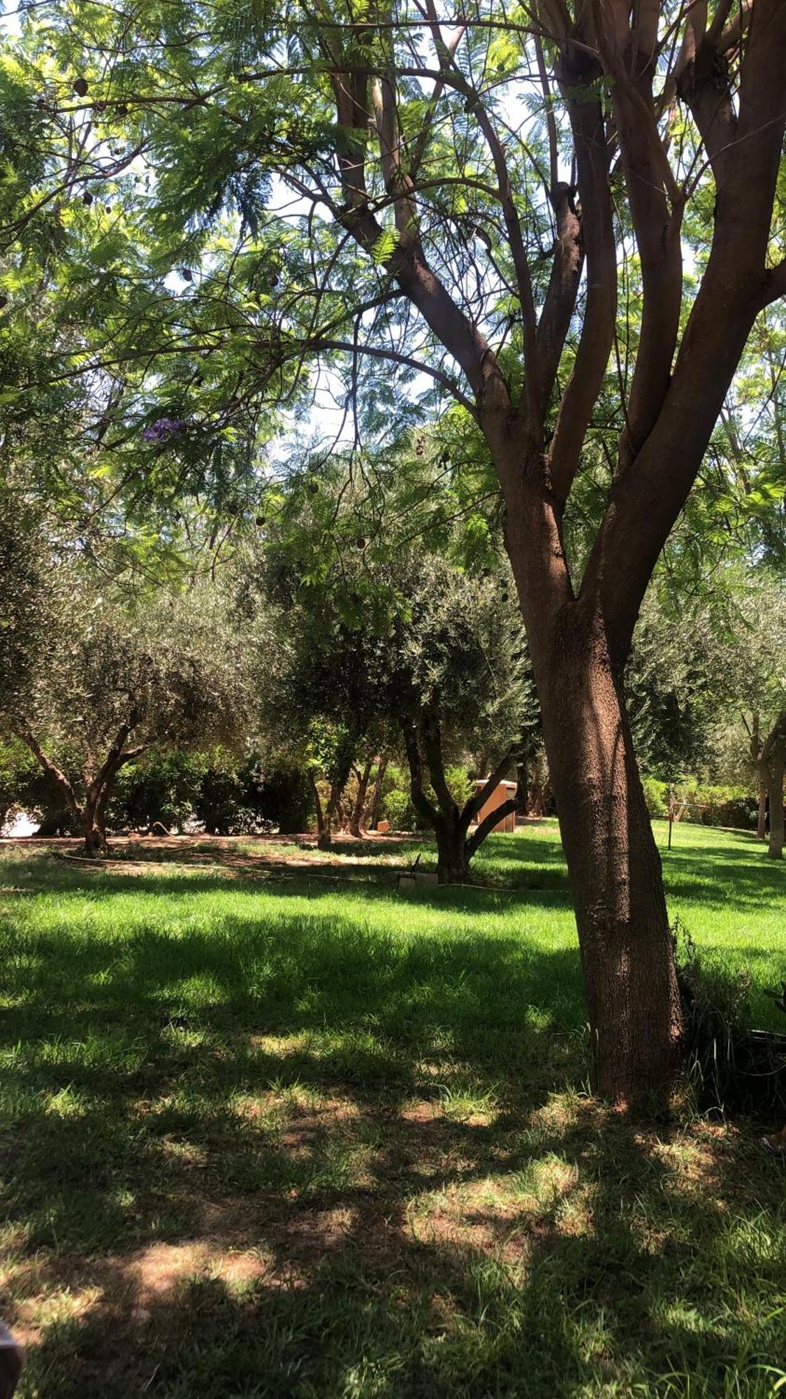 Palmeraie Village 2 - Cosi Appartement En Rez De Jardin マラケシュ エクステリア 写真